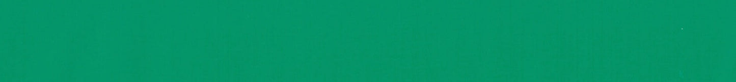 R910 Green Laundry Resin 110mm x 70m