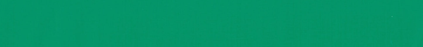 R910 Green Laundry Resin 55mm x 70m