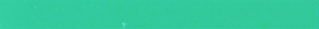 RAR Leaf Green Resin 110 x 50m CO